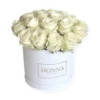 Flores blancas 7