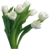 Flores blancas 8