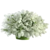 Flores blancas 9