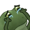 Froge 11