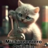 Michis profesiones 1 11