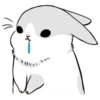 Ultimate Machiko Rabbit Pack 12
