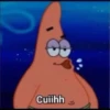 Stiker Patrick 12