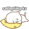 peach cute cat 5