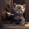 Michis profesiones 1 12