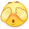 Weibo - New Term 16