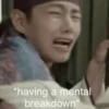 R
*having a mental
breakdown