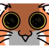 Wonderful orange cat 18