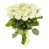 Flores blancas 13