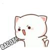 peach cute cat 6