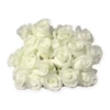 Flores blancas 14
