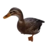 Three hundred ducks 11