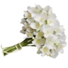 Flores blancas 18
