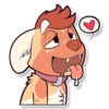 Cinnamon Wild Dog 14
