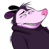 Opossum pack 18