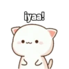 peach cute cat 9