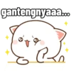 peach cute cat 10