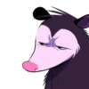 Opossum pack 20
