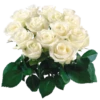 Flores blancas 24