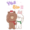 BROWN & FRIENDS 17