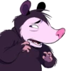 Opossum pack 21