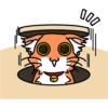 Wonderful orange cat 25