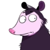 Opossum pack 24
