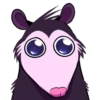 Opossum pack 26