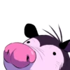 Opossum pack 28