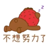 LYCHEE & FRIENDS 12