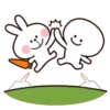 Spoiled rabbit & smile person 29