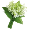 Flores blancas 28