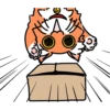 Wonderful orange cat 30