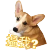 MANGO 5