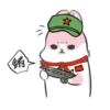 Machiko Rabbit 5