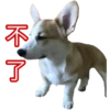 MANGO 7