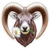 WWF Animals 5