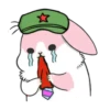 Machiko Rabbit 7