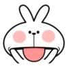 Spoiled Rabbit Best 9
