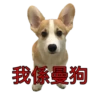 MANGO 8