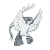 Twitch Plays Pokemon! 9