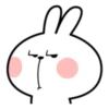 Spoiled Rabbit Best 11