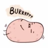 potAto 11