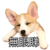 MANGO 9