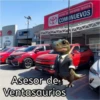 Dinos Profesiones 3 5