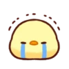 Soft and Cute Chicks 11