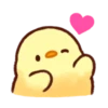 Soft and Cute Chicks 12