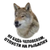 Wolf__chavez 9