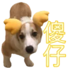 MANGO 13