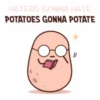 potAto 16